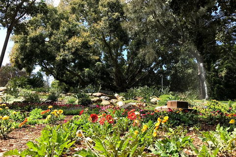 Discover Sydney - Botanic - Accommodation Ballina 3