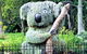 Discover Sydney - Botanic - thumb 0