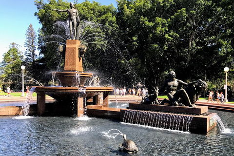 Discover Sydney - Botanic - Accommodation Ballina 2