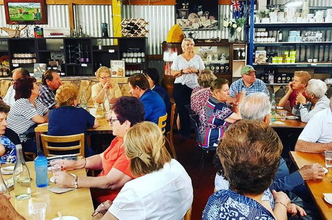 Skip The Line: Hunter Valley Cheese Factory - Handmade Cheese Tasting - Accommodation Ballina 3