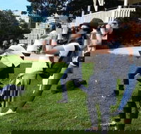 Smartphone  Camera Photography Basics - Accommodation Ballina