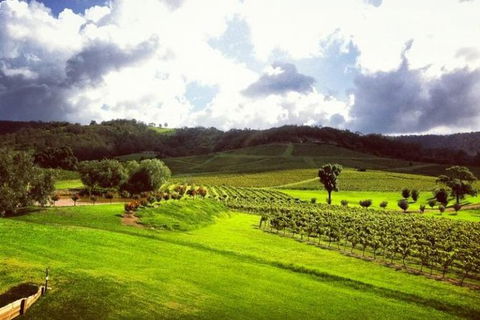 Ivanhoe Wines: Trip Advisor Wine Masterclass With Cheese Plate - Accommodation Ballina 3