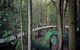 Private Blue Mountains Tour - thumb 6