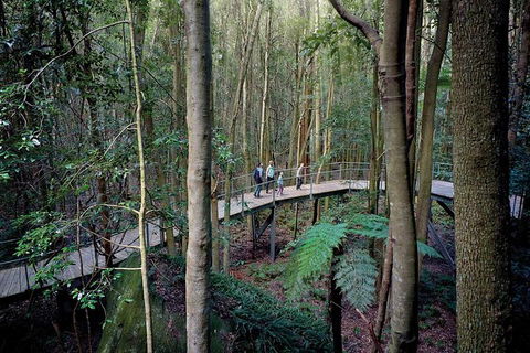 Private Blue Mountains Tour - Accommodation Ballina 6