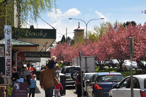 Private Blue Mountains Tour - Accommodation Ballina 8