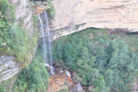 Private Blue Mountains Tour - Accommodation Ballina 11