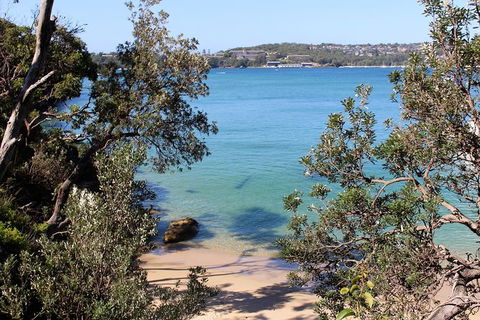 Sydney Harbour Walks - Accommodation Ballina 9