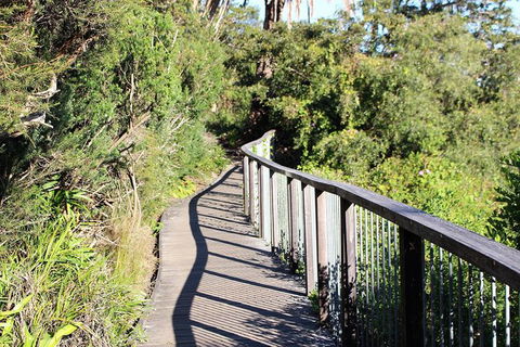 Sydney Harbour Walks - Accommodation Ballina 4