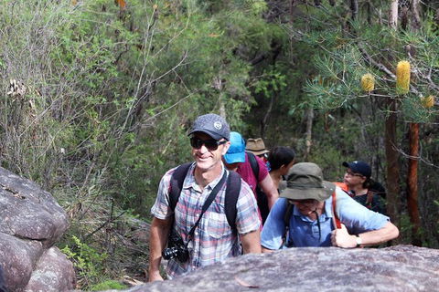 Sydney Harbour Walks - Accommodation Ballina 1