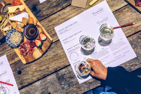 Taste Of The Highlands: Pinot Masterclass And Gourmet Lunch With Wine Pairings - Accommodation Ballina 4