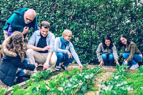 Taste Of The Highlands: Pinot Masterclass And Gourmet Lunch With Wine Pairings - Accommodation Ballina 10