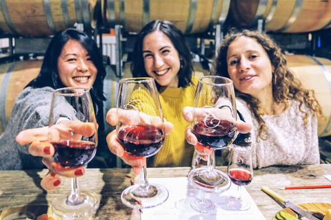 Taste Of The Highlands: Pinot Masterclass And Gourmet Lunch With Wine Pairings - Accommodation Ballina 6