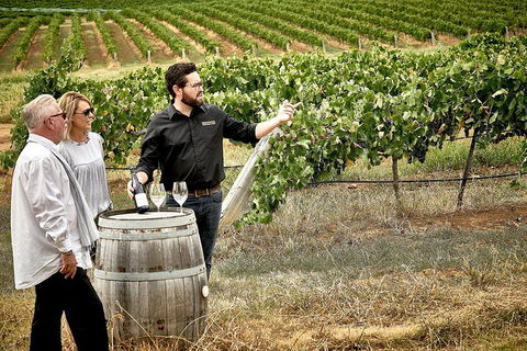 VIP Soil-To-Cellar Experience - Accommodation Ballina 0