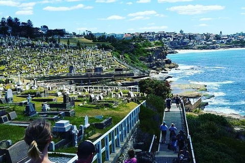 Bondi To Coogee Guided Walk - Accommodation Ballina 1
