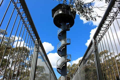 Illawarra Fly Treetop Adventures Admission Including Zipline Tour - Accommodation Ballina 3