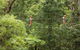 Illawarra Fly Treetop Adventures Admission Including Zipline Tour - thumb 0