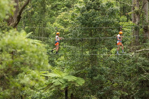 Illawarra Fly Treetop Adventures Admission Including Zipline Tour - Accommodation Ballina 0