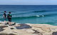Sydney & Bondi Beach Plus Local Secrets With \'Personalised Sydney Tours\' - thumb 13