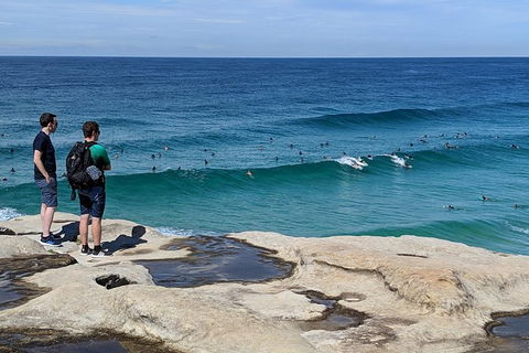 Sydney & Bondi Beach Plus Local Secrets With \'Personalised Sydney Tours\' - Accommodation Ballina 13
