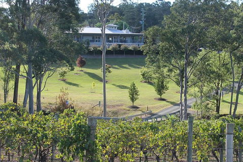 Tulloch Wines- Tasting Of 6 Pokolbin Dry Red Shiraz Vintages With Charcuterie - Accommodation Ballina 6