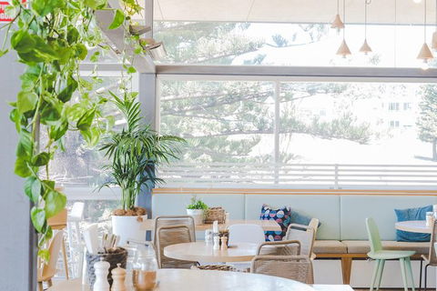 Sydney Beachside Experience With Optional Upgrade To Include A Bottle Of Wine - Accommodation Ballina 2