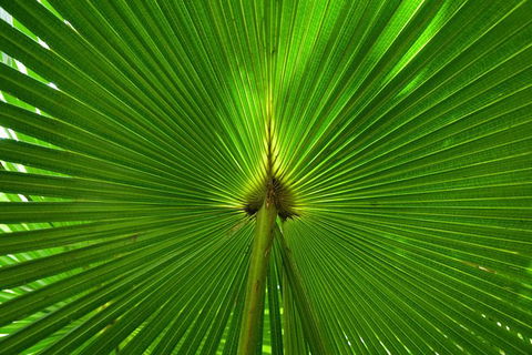 Photo Tour With An IPhone - Accommodation Ballina 0