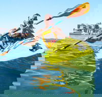 Single Kayak Hire - 4 Hours - Accommodation Ballina
