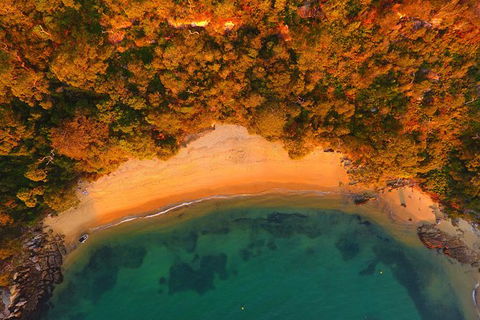 Single Kayak Hire - 4 Hours - Accommodation Ballina 1