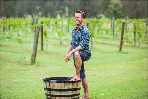 Hunter Valley Grape Stomping - Accommodation Ballina 0