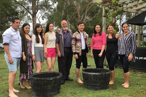 Hunter Valley Grape Stomping - Accommodation Ballina 1