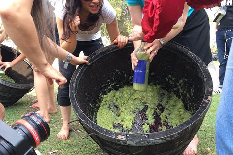 Hunter Valley Grape Stomping - Accommodation Ballina 3