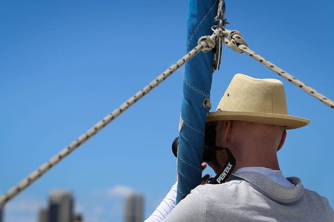 Private Sydney Harbour Sightseeing Cruise With Local Captain - Accommodation Ballina 3