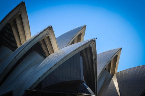 Private Sydney Harbour Sightseeing Cruise With Local Captain - Accommodation Ballina 6