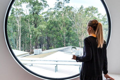 The Brokenwood Journey - Accommodation Ballina 4
