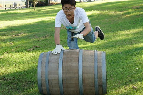 Hunter Valley Wine Barrel Rolling - Accommodation Ballina 2