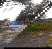Interactive farm tours on a beef lamb and duck farm - Accommodation Ballina