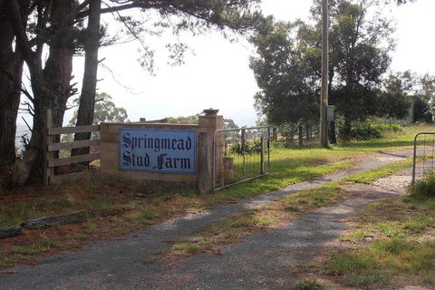 Interactive Farm Tours On A Beef, Lamb And Duck Farm - Accommodation Ballina 0