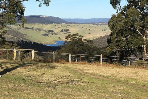 Interactive Farm Tours On A Beef, Lamb And Duck Farm - Accommodation Ballina 5