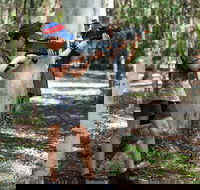 Laser Skirmish at Glenworth Valley Outdoor Adventures - Accommodation Ballina