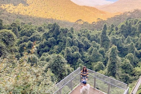 Small Group Blue Mountains, Featherdale, Lunch & Cruise Day Tour - Accommodation Ballina 9