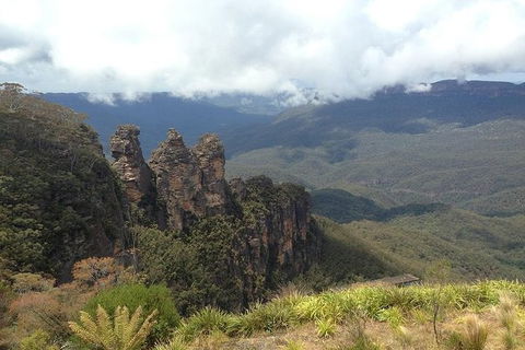 All-Inclusive Blue Mountains Tour In A Luxury Mercedes Sprinter - Accommodation Ballina 3