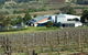 The REAL Hunter Valley Tour - thumb 0