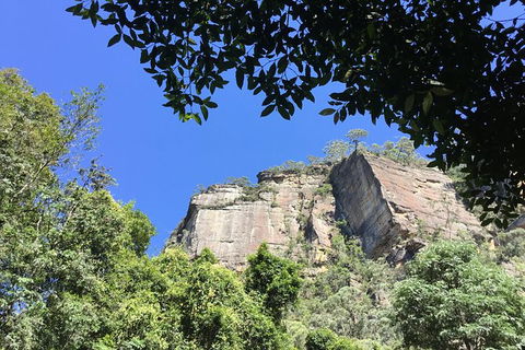 Blue Mountains Tour (ScenicWorld) - Accommodation Ballina 1