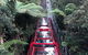 Blue Mountains Tour (ScenicWorld) - thumb 5