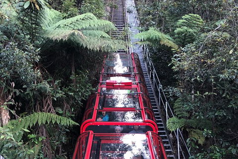 Blue Mountains Tour (ScenicWorld) - Accommodation Ballina 5