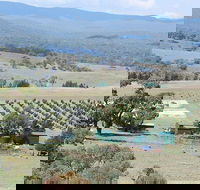Truffle Hunt and Luncheon - Accommodation Ballina