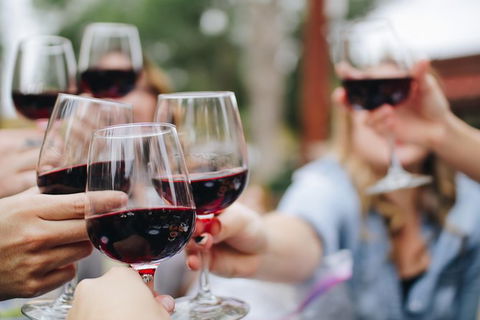 Six Hour - Plan Your Own Wine And Cheese Tour Hunter Valley - Accommodation Ballina 8