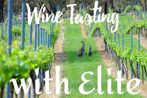 Six Hour - Plan Your Own Wine And Cheese Tour Hunter Valley - Accommodation Ballina 7