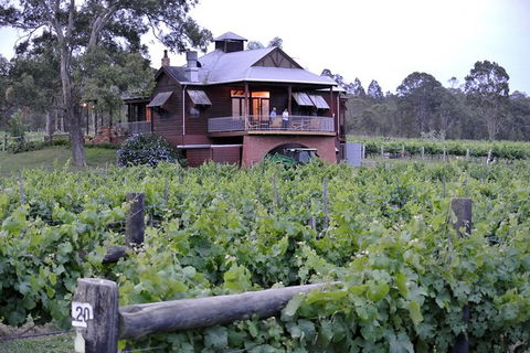 Six Hour - Plan Your Own Wine And Cheese Tour Hunter Valley - Accommodation Ballina 11