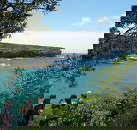 Private Luxury Sydney's Royal National Park Full Day Tour - Accommodation Ballina